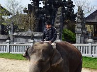 Andy - Pairi Daiza (249)