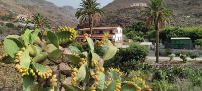 GRAN CANARIA 2022 (32)