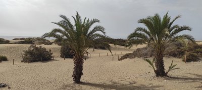 GRAN CANARIA 2022 (58)