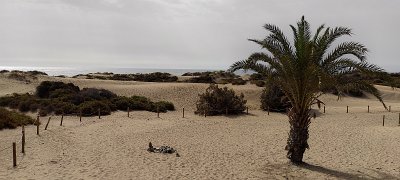 GRAN CANARIA 2022 (59)