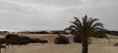 GRAN CANARIA 2022 (60)