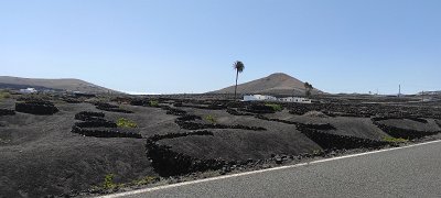 Lanzarote (106)