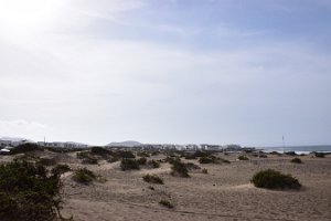 Lanzarote (55)